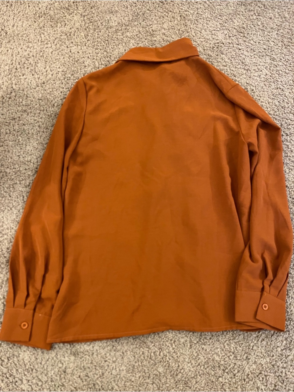 Rust colored Ruffle Front Long Sleeve Shirt - Picture 3 of 3